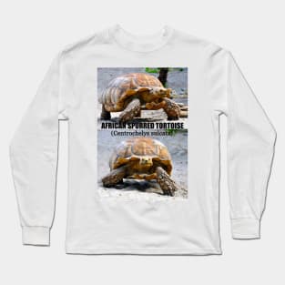 African Spurred Tortoise poster Long Sleeve T-Shirt